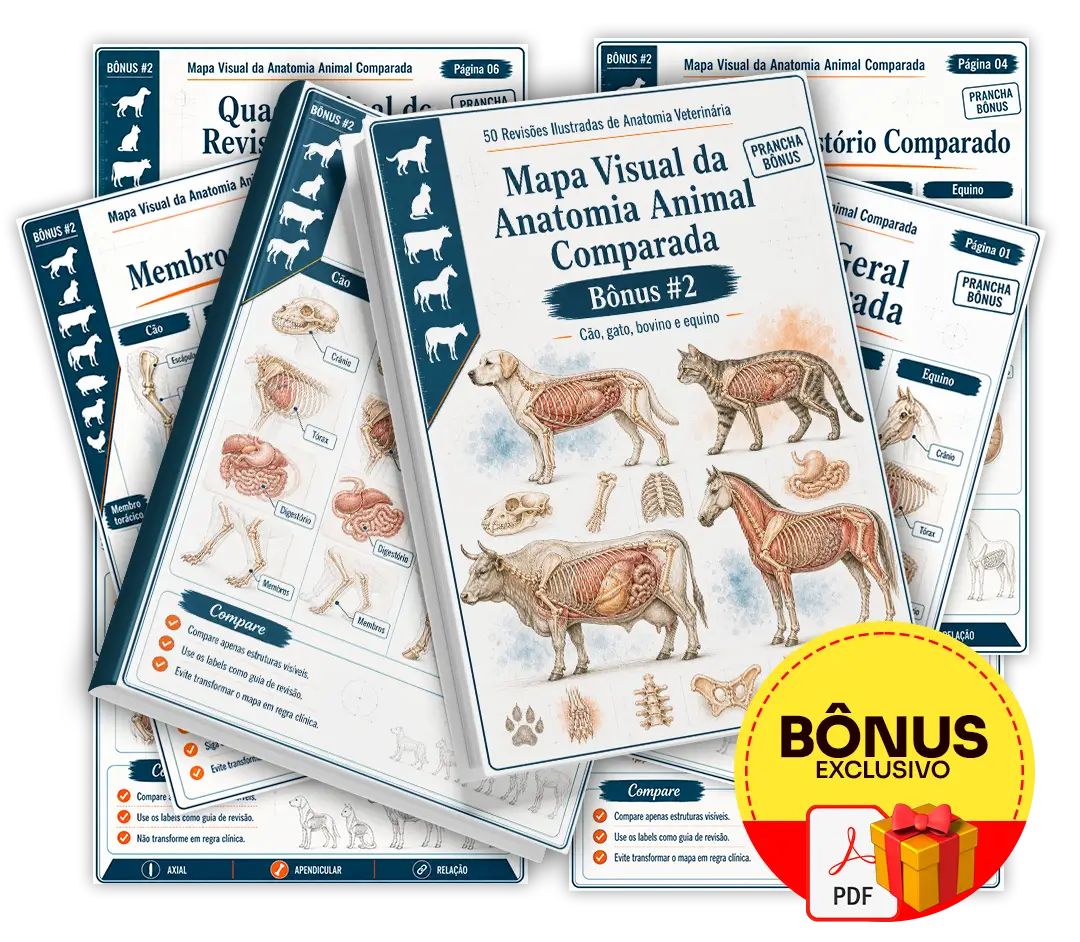 Bônus 2 — Mapa Visual da Anatomia Animal Comparada