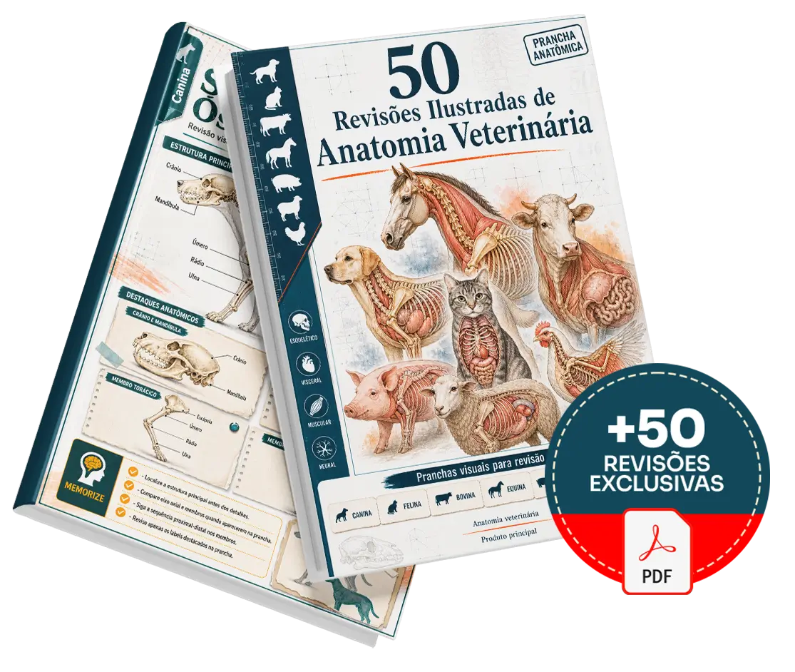 Plano básico — 50 Revisões Ilustradas de Anatomia Veterinária