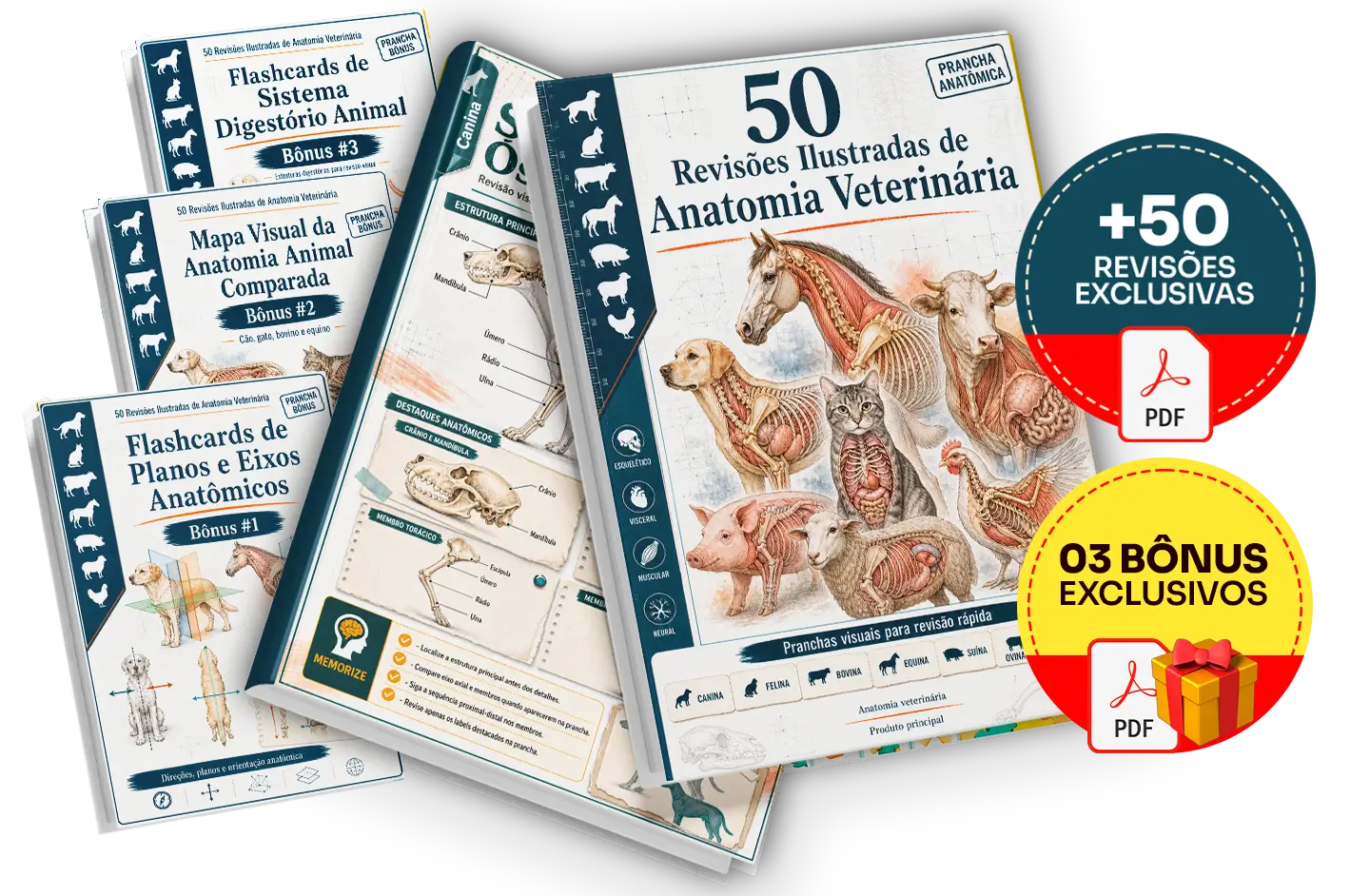 Plano completo com todos os produtos e bônus